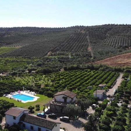 Agriturismo Trappeto Vecchio San Demetrio Corone ภายนอก รูปภาพ