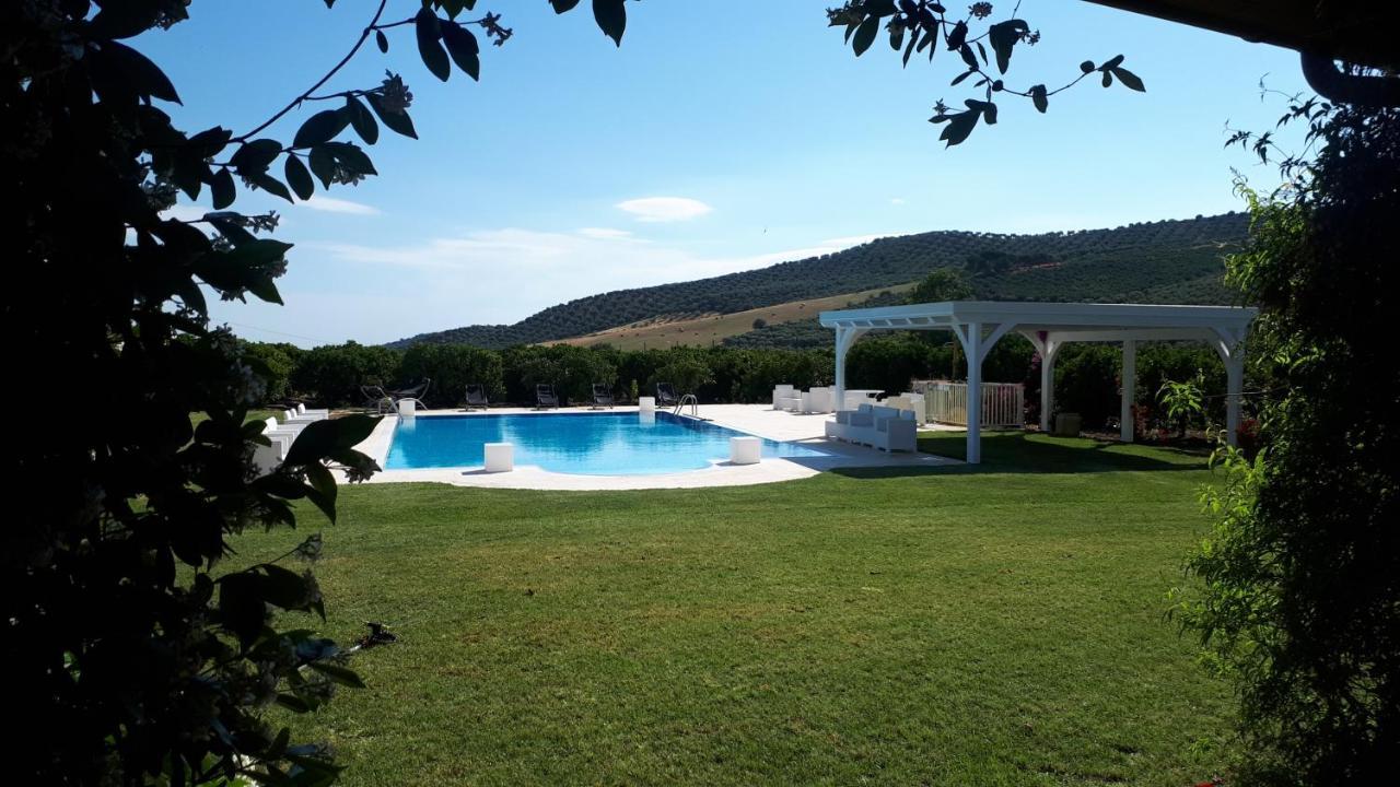Agriturismo Trappeto Vecchio San Demetrio Corone ภายนอก รูปภาพ