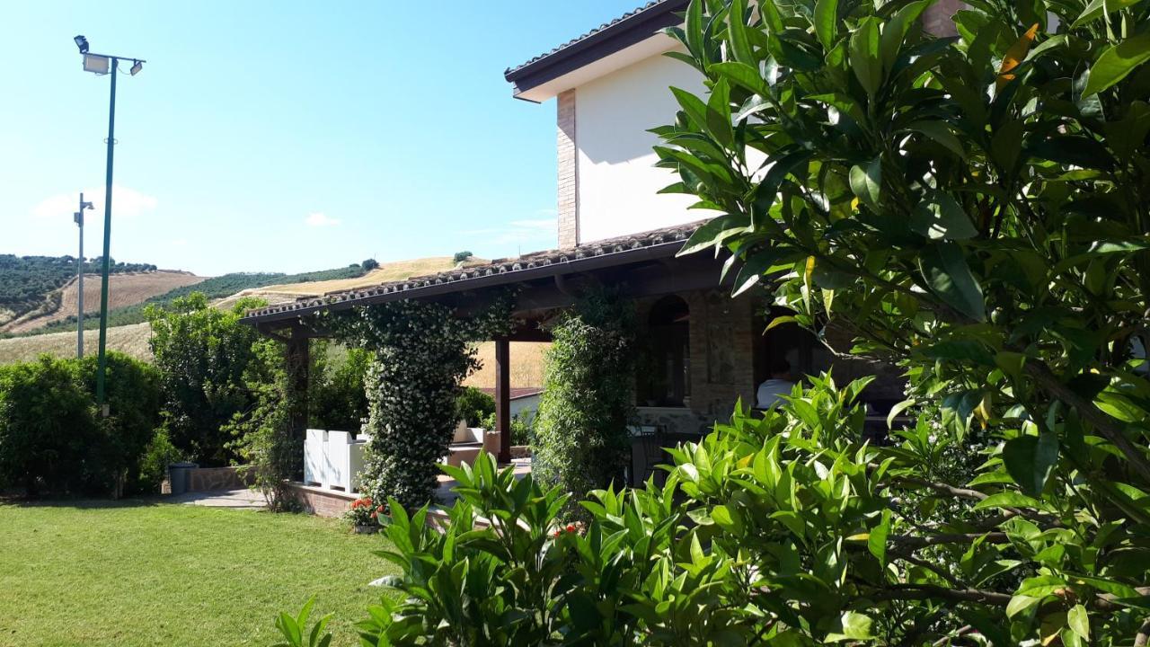 Agriturismo Trappeto Vecchio San Demetrio Corone ภายนอก รูปภาพ