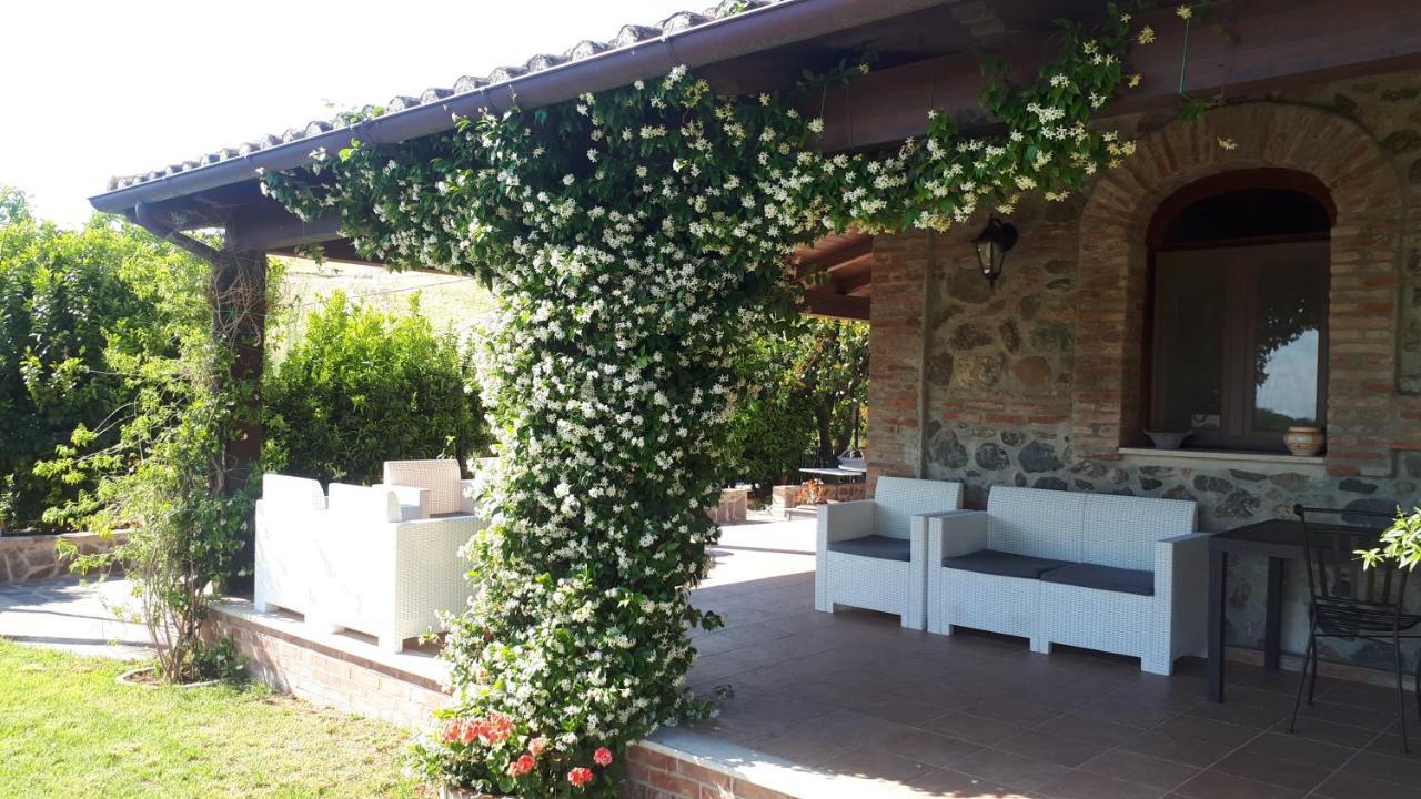 Agriturismo Trappeto Vecchio San Demetrio Corone ภายนอก รูปภาพ