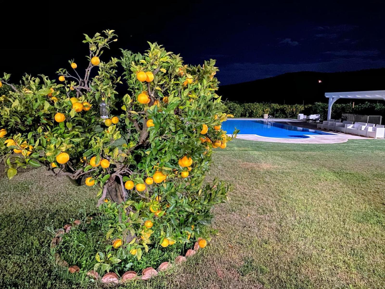 Agriturismo Trappeto Vecchio San Demetrio Corone ภายนอก รูปภาพ