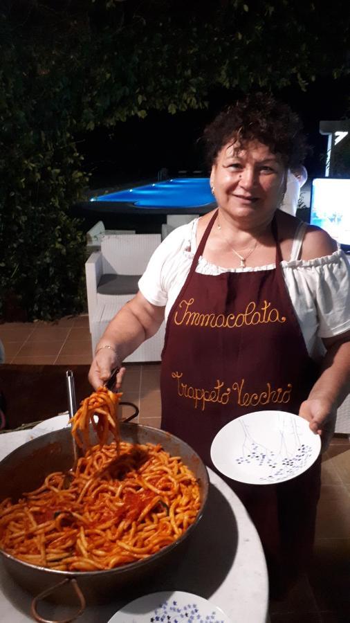 Agriturismo Trappeto Vecchio San Demetrio Corone ภายนอก รูปภาพ