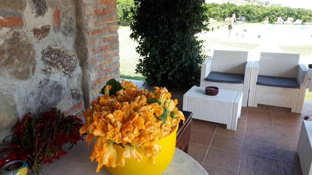 Agriturismo Trappeto Vecchio San Demetrio Corone ภายนอก รูปภาพ