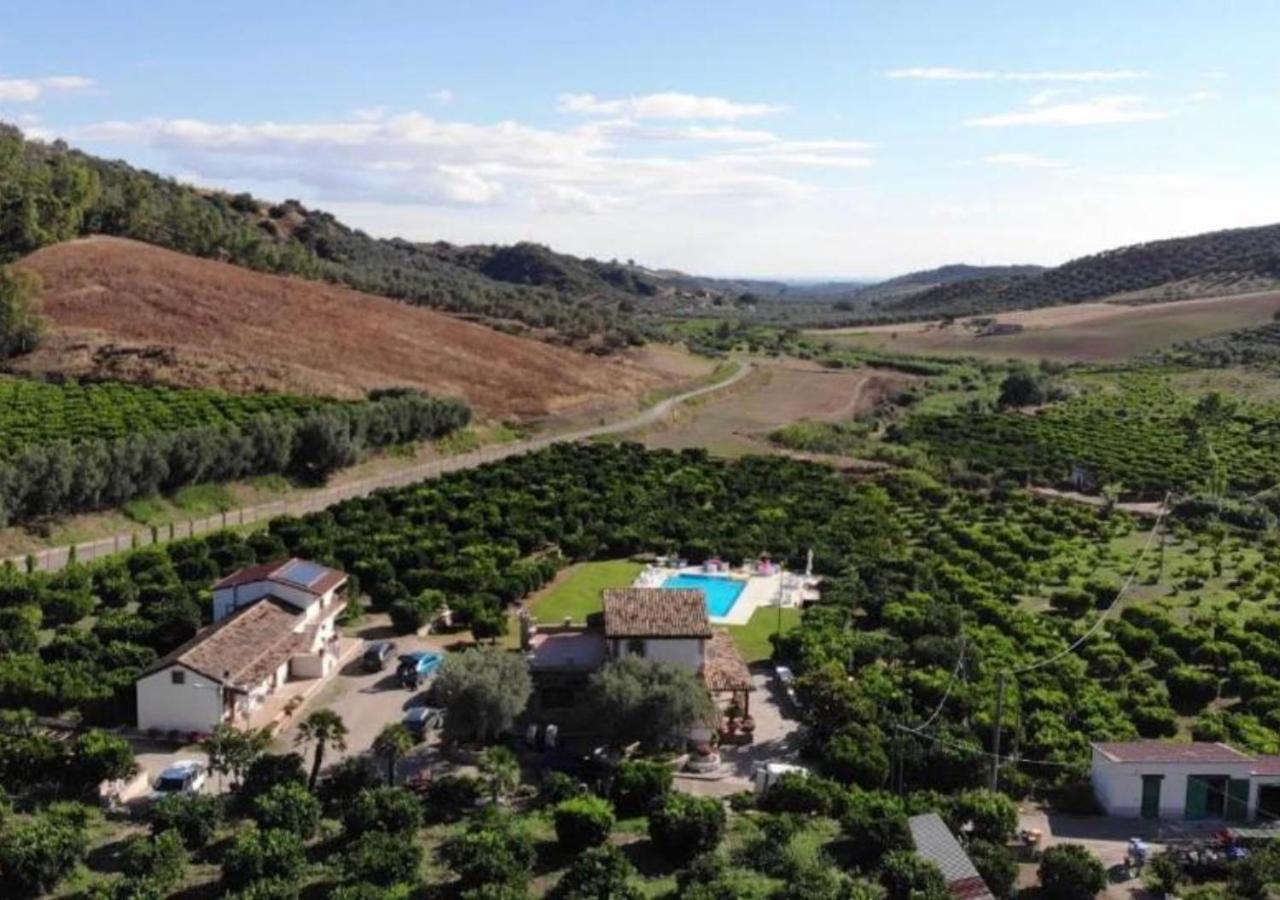 Agriturismo Trappeto Vecchio San Demetrio Corone ภายนอก รูปภาพ
