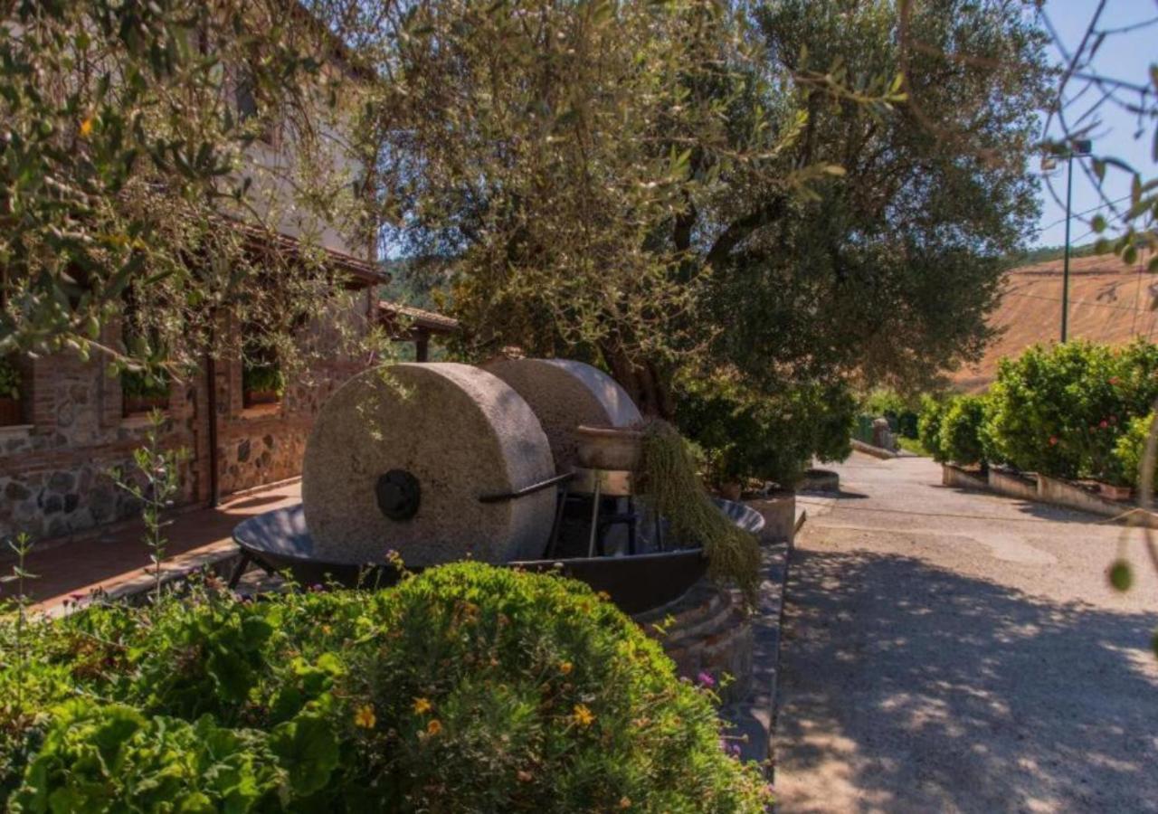 Agriturismo Trappeto Vecchio San Demetrio Corone ภายนอก รูปภาพ