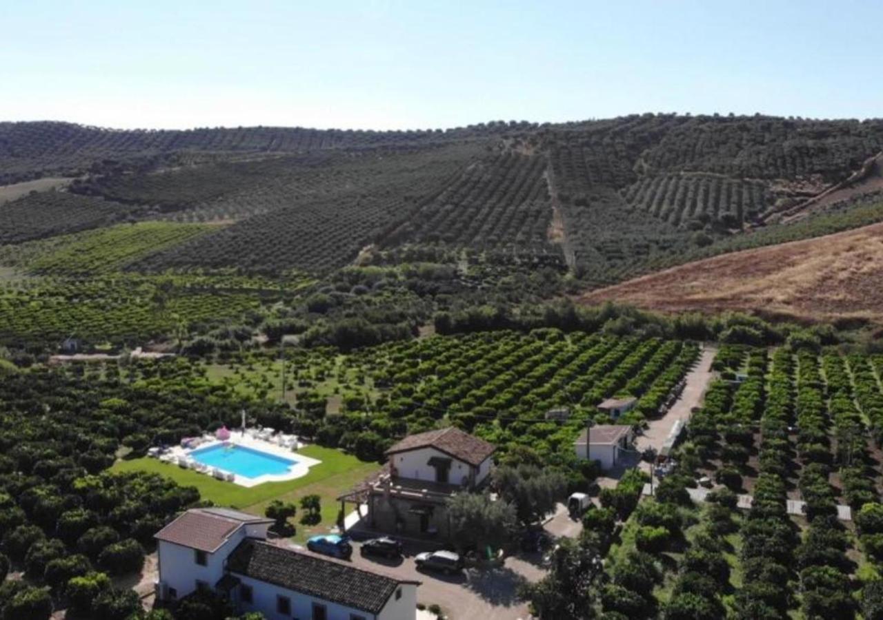 Agriturismo Trappeto Vecchio San Demetrio Corone ภายนอก รูปภาพ