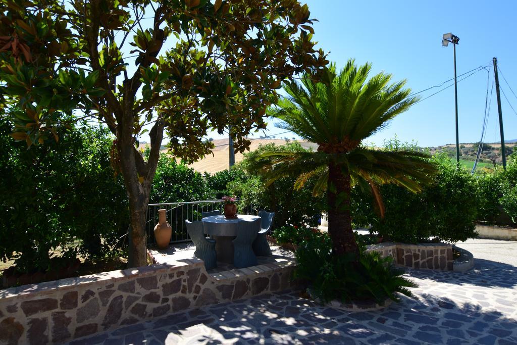 Agriturismo Trappeto Vecchio San Demetrio Corone ภายนอก รูปภาพ
