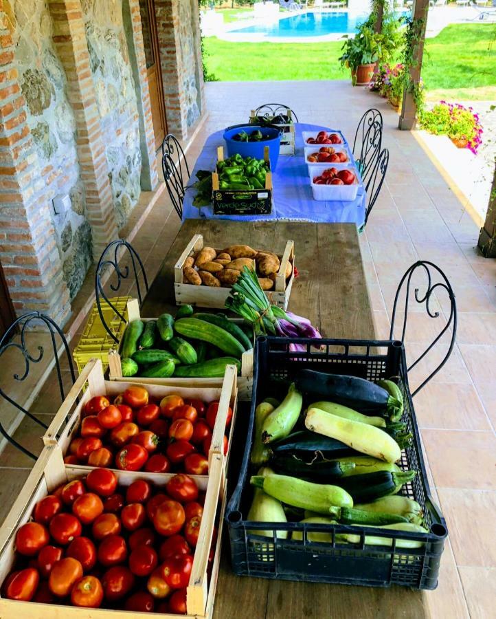 Agriturismo Trappeto Vecchio San Demetrio Corone ภายนอก รูปภาพ